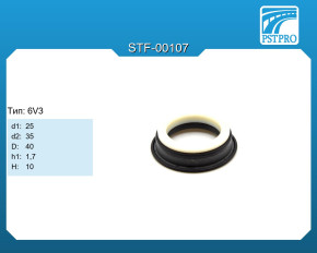 Сальник d1-25 d2-35 D-40 h1-1,7 H-10 Тип: 6V3