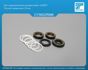 Ремкомплект рулевой рейки с ГУР Vortex Corda 2010-, Chery Amulet 2003-, Chery Karry A18 2007- CHERY, под вал диаметром 22мм