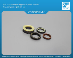 Ремкомплект рулевой рейки с ГУР Daewoo Evanda 2002-, Daewoo Magnus 2000-2006, Suzuki Verona 2003- CHERY, под вал диаметром 25мм