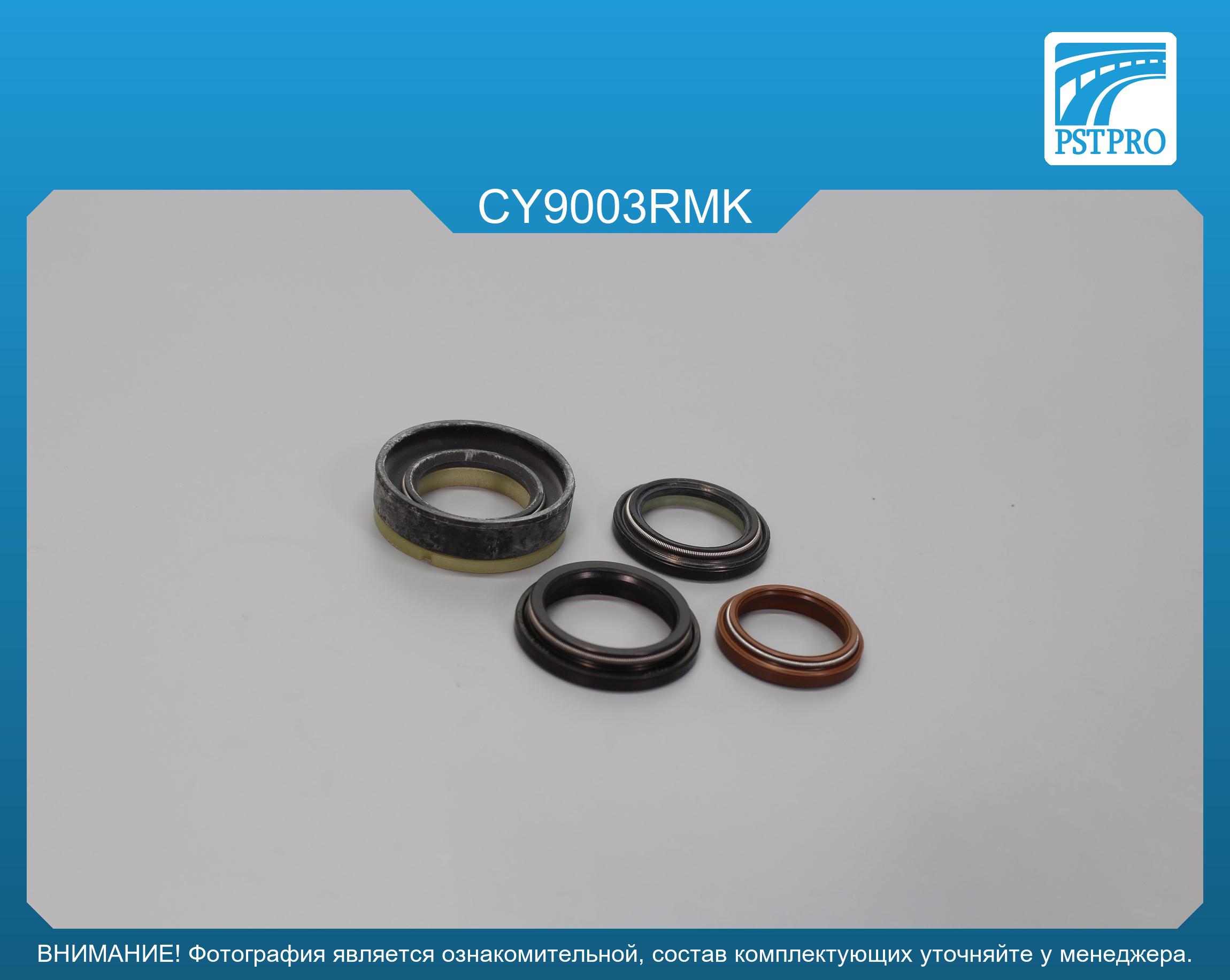 Ремкомплект рулевой рейки с ГУР Daewoo Evanda 2002-, Daewoo Magnus 2000-2006, Suzuki Verona 2003- CHERY, под вал диаметром 25мм