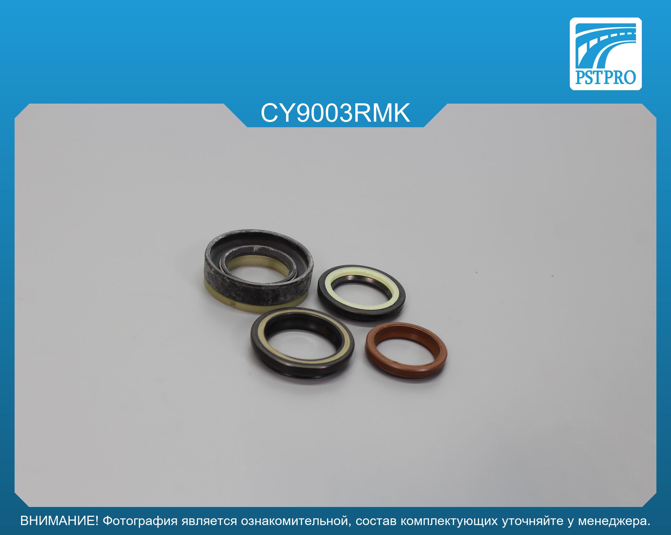 Ремкомплект рулевой рейки с ГУР Daewoo Evanda 2002-, Daewoo Magnus 2000-2006, Suzuki Verona 2003- CHERY, под вал диаметром 25мм