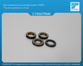 Ремкомплект рулевой рейки с ГУР Chery QQ 2003-2011, Chery Sweet S11 2003- CHERY, под вал диаметром 22мм