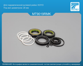 Ремкомплект рулевой рейки с ГУР Mitsubishi Grandis 2003- KOYO, под вал диаметром 26мм