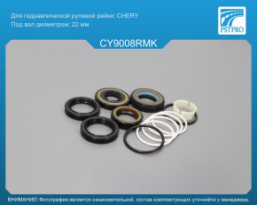 Ремкомплект рулевой рейки с ГУР Chery Jaggi 2008-, Chery QQ6 2006- CHERY, под вал диаметром 22мм