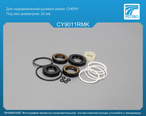 Ремкомплект рулевой рейки с ГУР Chery Beat 2010-, Chery Indis 2011- CHERY, под вал диаметром 22мм