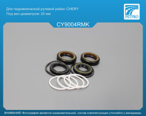 Ремкомплект рулевой рейки с ГУР Chery Eastar 2005- CHERY, под вал диаметром 25мм