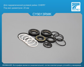 Ремкомплект рулевой рейки с ГУР Chery Tiggo FL 2013-, Chery Tiggo 2 2016-2022 CHERY, под вал диаметром 25мм