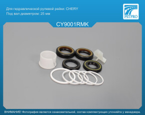 Ремкомплект рулевой рейки с ГУР Vortex Tingo 2010-, Lifan X60 2011-, Chery Tiggo 2006- CHERY, под вал диаметром 25мм