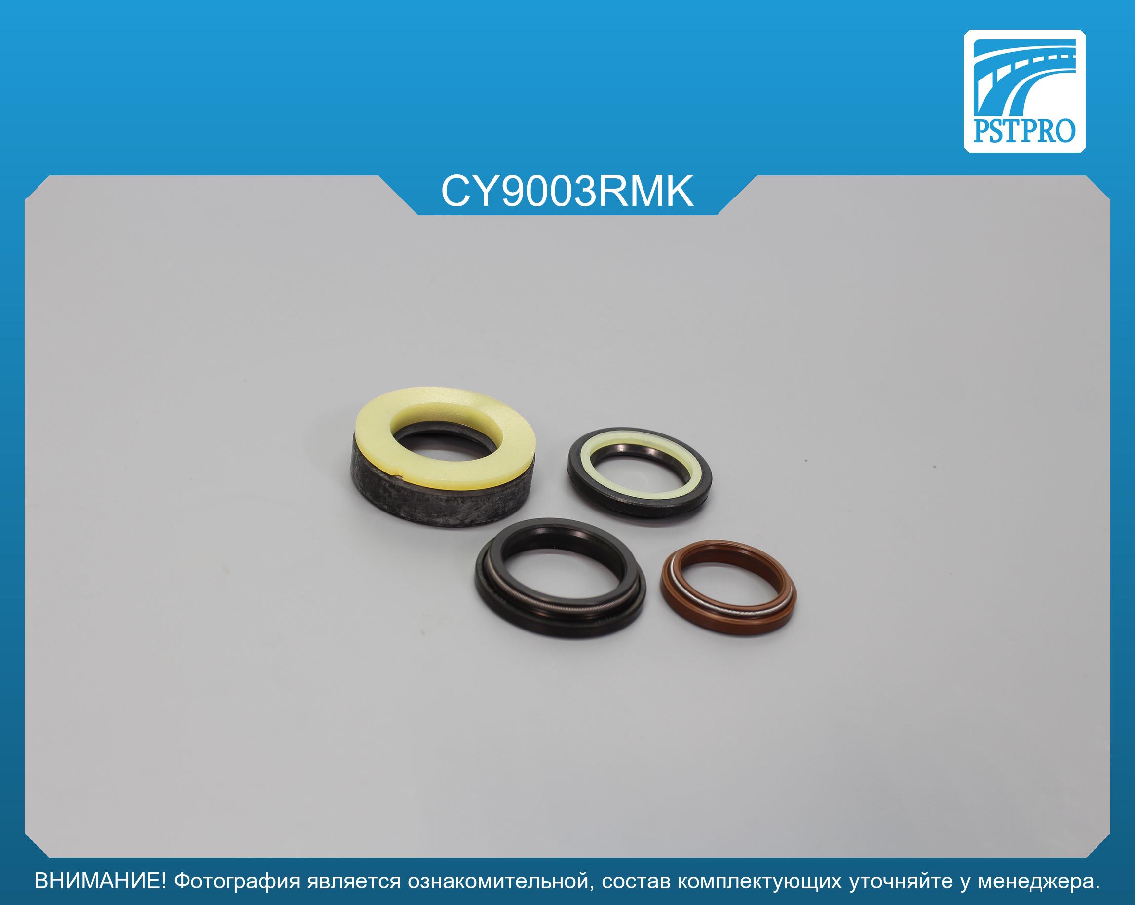 Ремкомплект рулевой рейки с ГУР Daewoo Evanda 2002-, Daewoo Magnus 2000-2006, Suzuki Verona 2003- CHERY, под вал диаметром 25мм