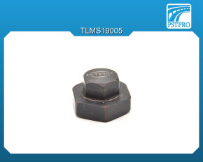 Ключ для монтажа боковой гайки рулевой рейки PSTMS19005 Chrysler 300 2011-, Dodge Challenger 2011-