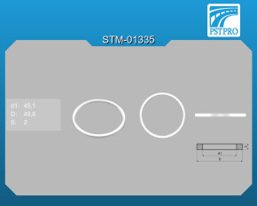 Кольцо тефлоновое d1-45,1 D-49,6 S-2