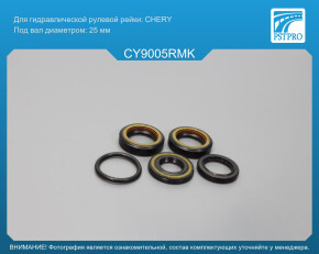 Ремкомплект рулевой рейки с ГУР Vortex Estina 2008-, Chery Elara 2006-, Chery Fora 2006- CHERY, под вал диаметром 25мм